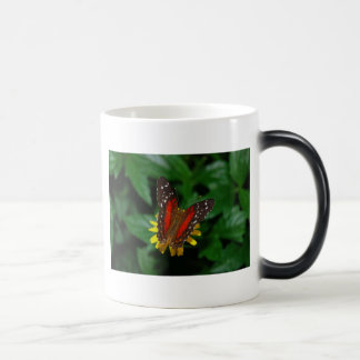 Caneca da temperatura da borboleta