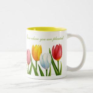 Caneca da tulipa do primavera