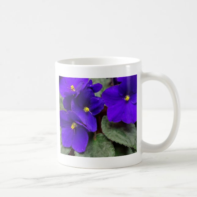 Caneca da violeta africana (Direita)