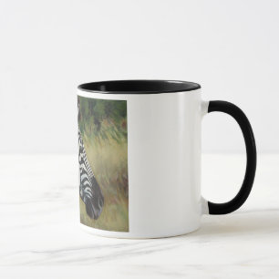 Caneca da zebra