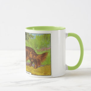 Caneca Dachshund de cabelos compridos