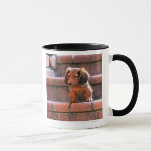 Caneca Dachshund diminuto