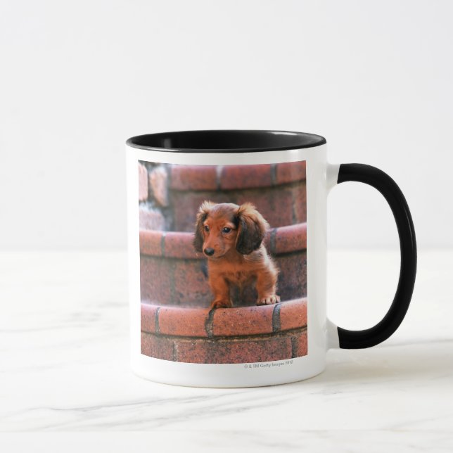 Caneca Dachshund diminuto (Direita)