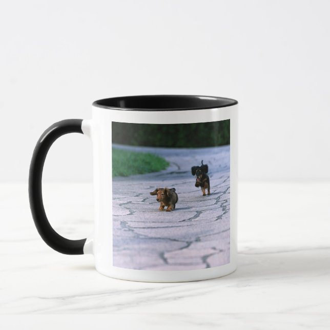 Caneca Dachshund diminuto 3 (Esquerda)