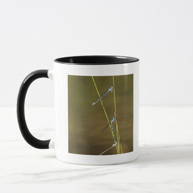Caneca Damselflies de acoplamento (Esquerda)