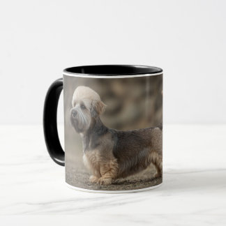Caneca Dandie Dinmont Terrier