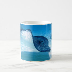 Caneca das arraias-lixas