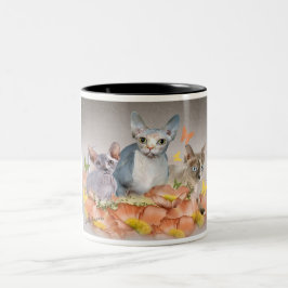caneca de 3 gatinhos do sphynx