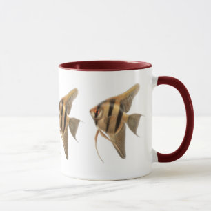 Caneca de água doce dos Angelfishes