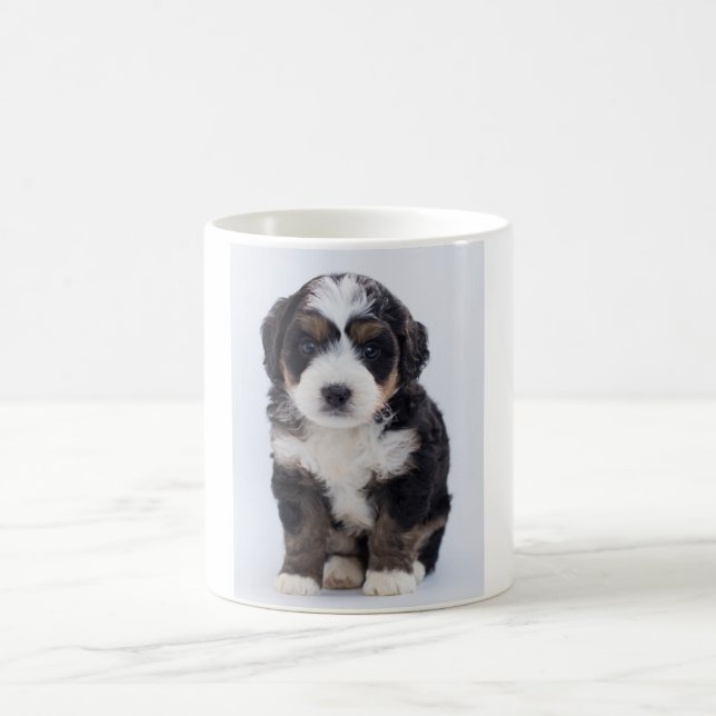 Caneca de Bernedoodle (Centro)