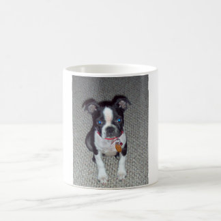 Caneca de Boston Terrier