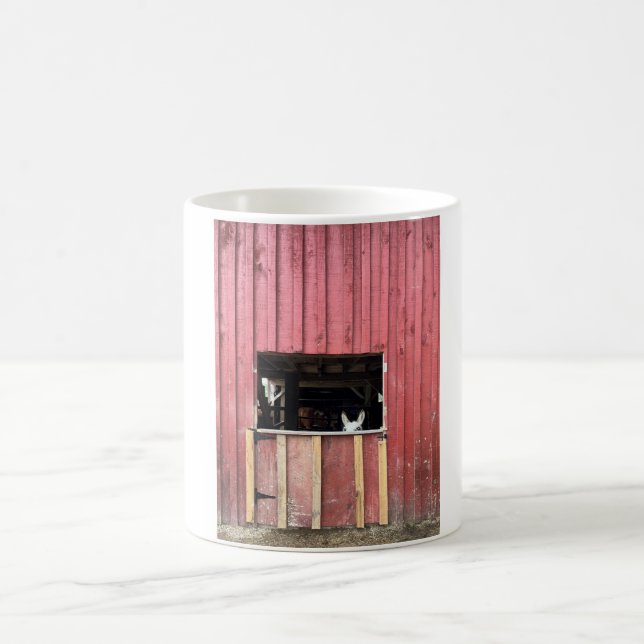 Caneca de burro (Centro)