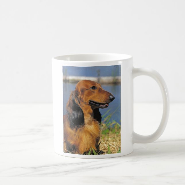 caneca de cabelos compridos vermelha do dachshund (Direita)