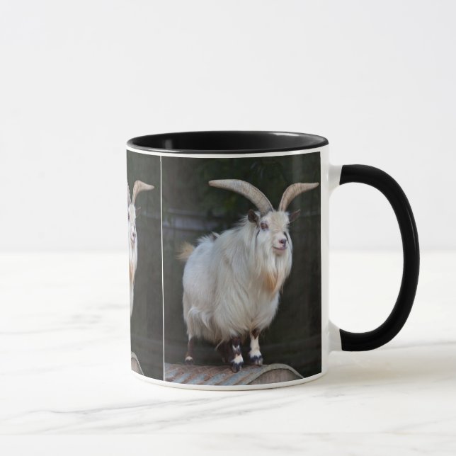 Caneca de Cabra Anã Africana (Direita)