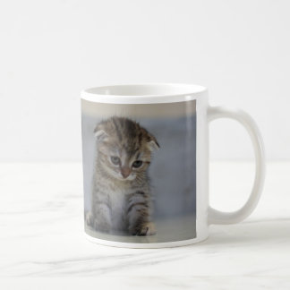 CANECA DE CAFÉ スコティッシュフォールド子猫 マグカップ