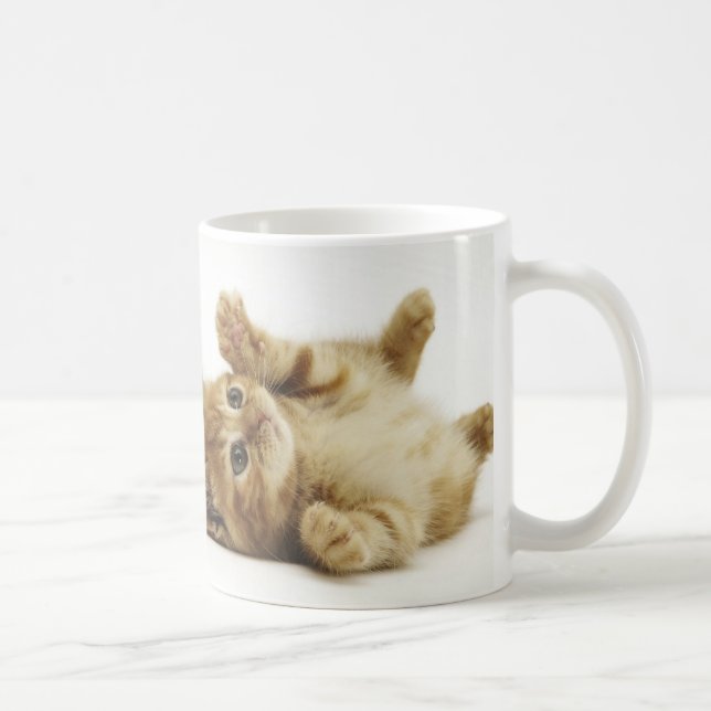 CANECA DE CAFÉ マルチカン子猫　マグカップ (Direita)