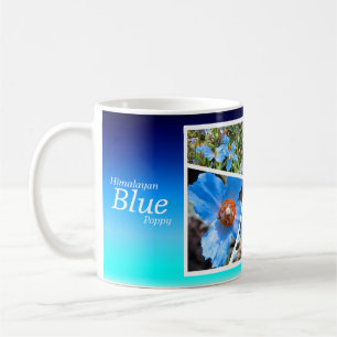 Caneca De Café マ グ カ プ azul-do-himalaia [Classic Mug]