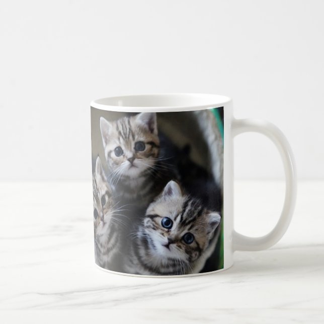CANECA DE CAFÉ ３匹のアメリカンショートヘアの子猫たち　マグカップ (Direita)