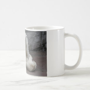 Caneca De Café 1) Cubos de urso polar