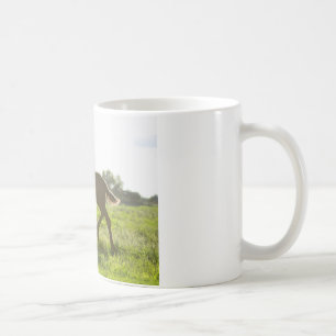 Caneca De Café 37:4 do salmo do potro do frisão