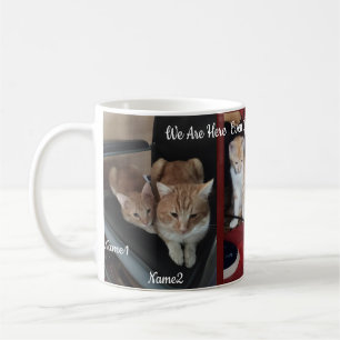 Caneca De Café 6 Gatos Fotografia E Nome, KeepsasaesCrie Você Pró