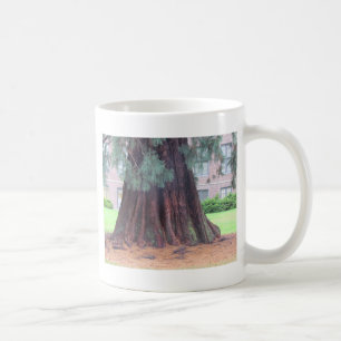 Caneca De Café A árvore