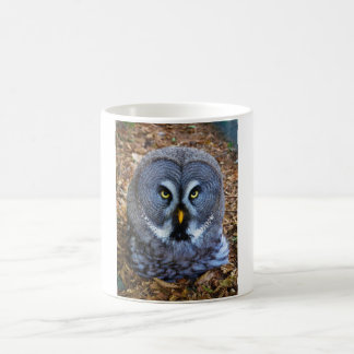Caneca De Café A Coruja das Cinzas Excelentes Strix Nebulosa Lapl