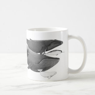 Caneca De Café A Natação Da Arte De Ilustração De Baleias  