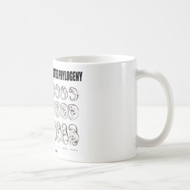 Caneca De Café A ontogenia Recapitulates a filogenia (a biologia) (Direita)