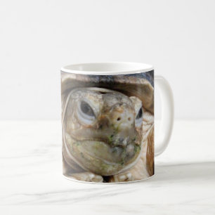 Caneca De Café A Tartaruga Afro-Rupida, Sulcata Tortoise Face