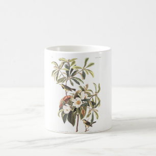 Caneca De Café A toutinegra de Bachman da placa 185 de Audubon