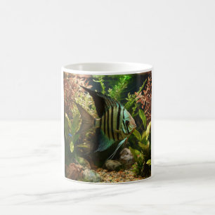 Caneca De Café Acara-disco bandeado