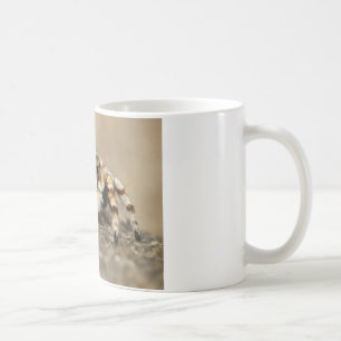 Caneca De Café Acessórios incríveis para a aranha do Pássaro
