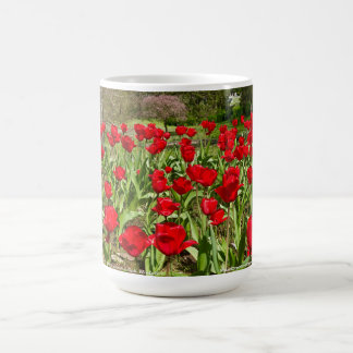 Caneca De Café Acreditando Em Si Mesmo. Tulipas Vermelhas