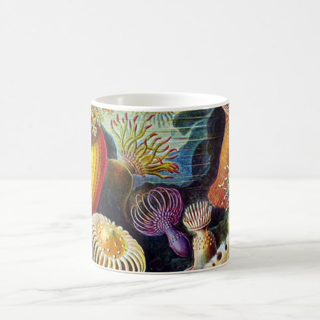 Caneca De Café Actiniae por Ernst Haeckel (Centro)