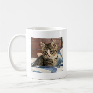 Caneca De Café Adicione sua foto favorita de gato