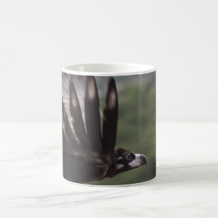 Caneca De Café Aegypius monachus