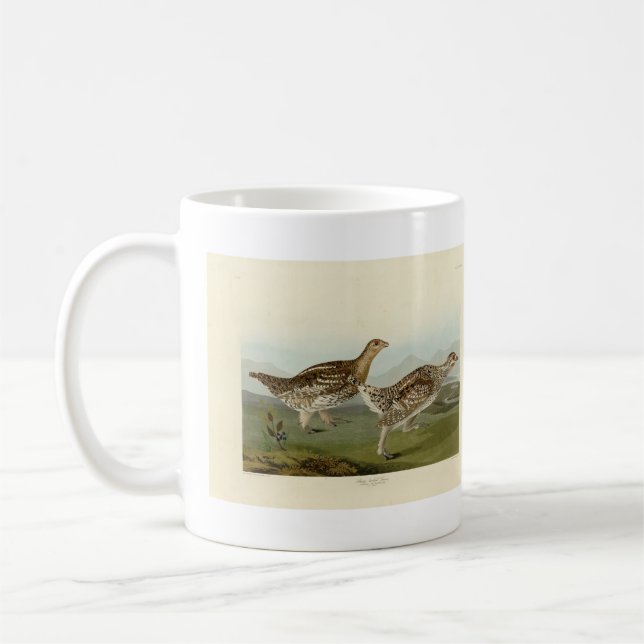 Caneca De Café Agrupamento de cauda-afiada - Aves da América de A (Esquerda)