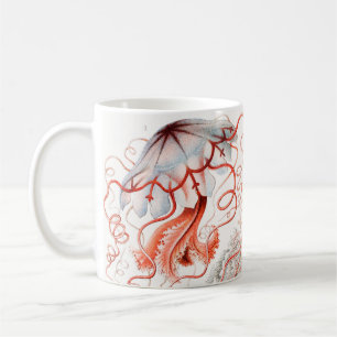 Caneca De Café Água-viva, Desconto de Ernst Haeckel