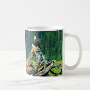 Caneca De Café Águia Americana Empoleirada No Galho