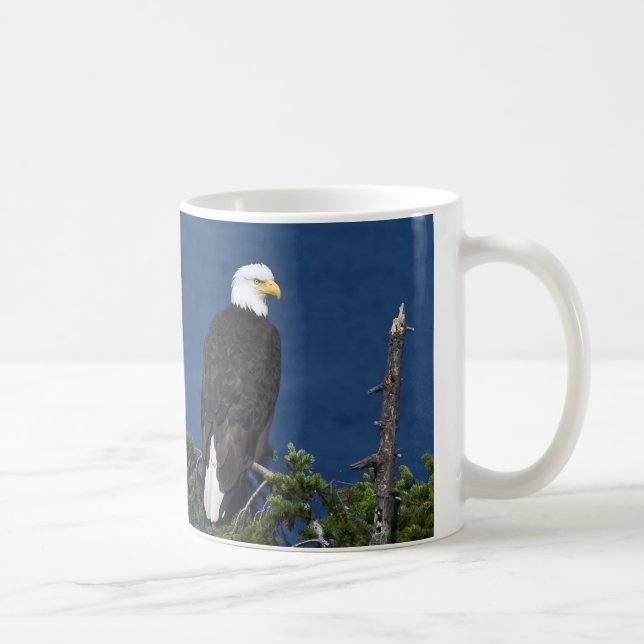 Caneca De Café Águia Cálida Madura na Árvore Fir (Direita)