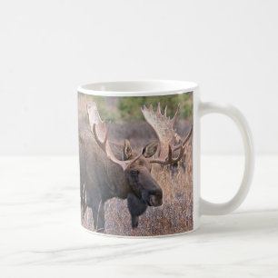 Caneca De Café Alces grandes de Bull