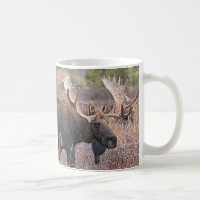 Caneca De Café Alces grandes de Bull (Direita)