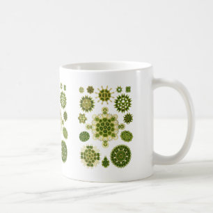 Caneca De Café Algas verdes