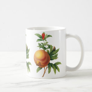 Caneca De Café Alimento Antigo Fruta, Romã por Redoute