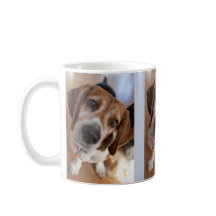 Amante de Cachorro 3 Fotos Personalizadas
