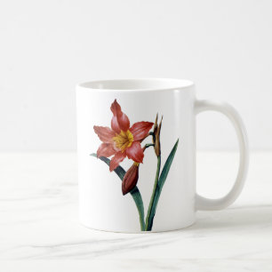 Caneca De Café Amaryllis