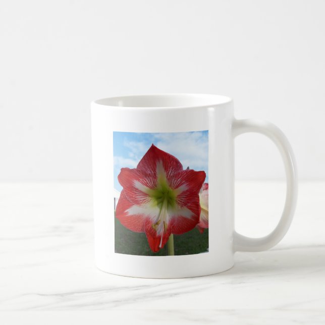 Caneca De Café Amaryllis Red e White MegaStar (Direita)