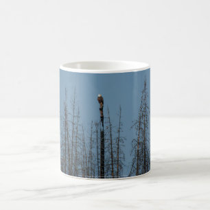 Caneca De Café American Bald Eagle 8974