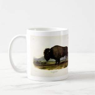 Caneca De Café American Bison, ou Buffalo (Bison bison) - Audubon